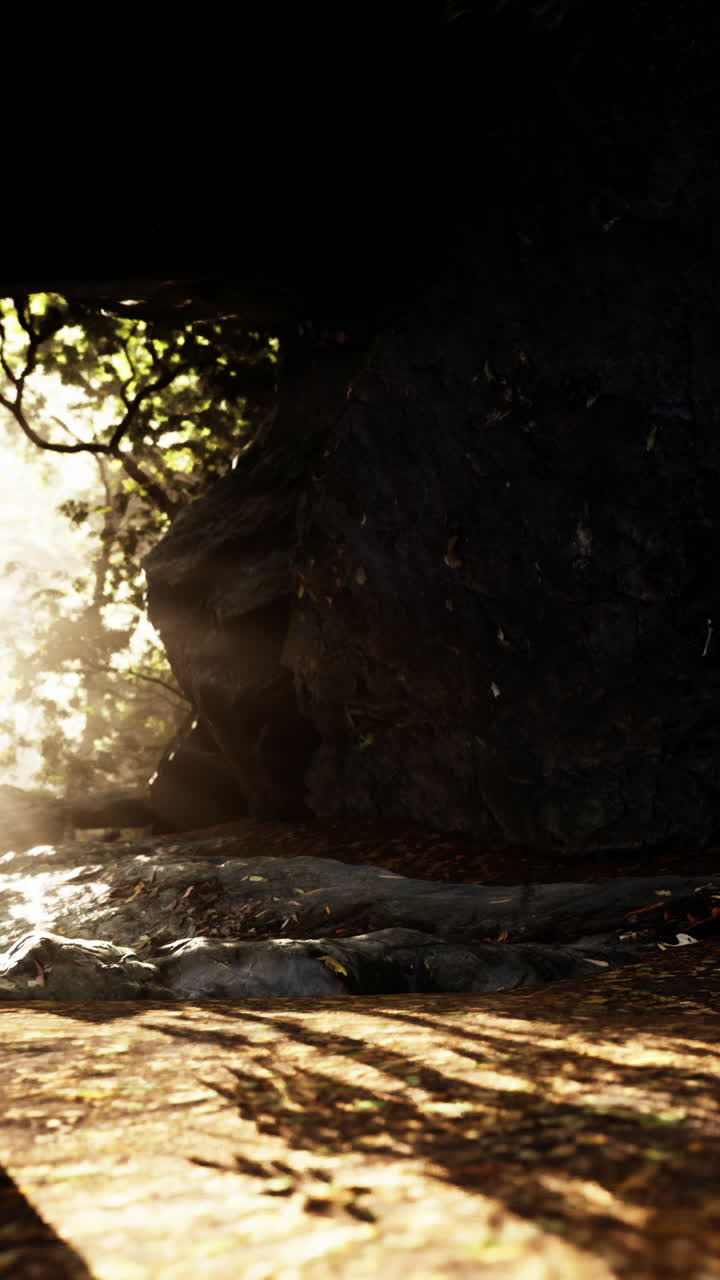 la luz del sol filtrándose a través de una cueva del bosque