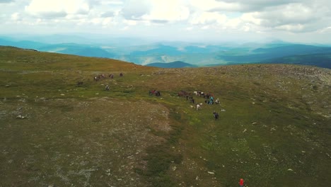 mountain hiking with horses