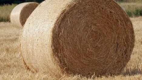 hay bails on a sunny hot day in