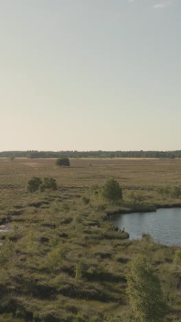 vast heath landscape under a pale sky