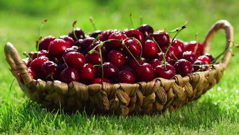 Las-Cerezas-Frescas,-Maduras-Y-Jugosas-Giran.-Cereza-Roja-En-El-Sentido-De-Las-Agujas-Del-Reloj