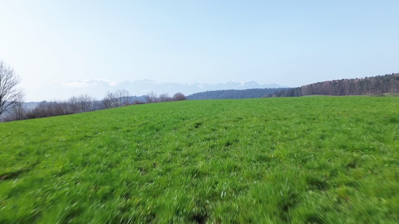 드론은 먼 배경에 눈으로 인 산과 함께 녹색 잔디 위로 가까이 날아갑니다.