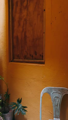 interior garden corner with plants and chair