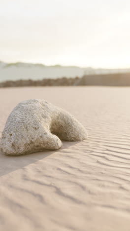 white rock on sandy beach at sunset