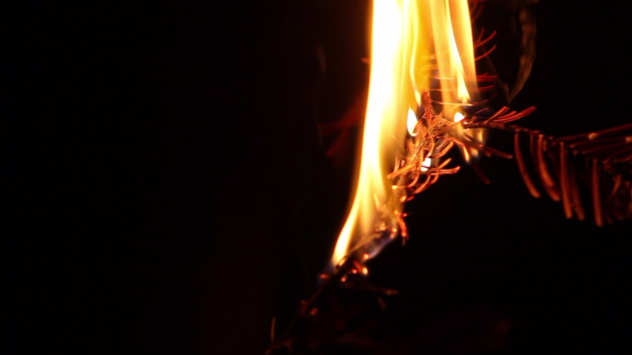 rama de abeto ardiendo
