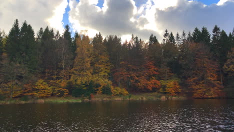 299-árboles-De-Bosque-De-Lago-De-Otoño-Rojo