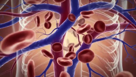 an intricate view of the human circulatory system showcasing the flow of blood cells through vessels with an emphasis on red and blue color contrast