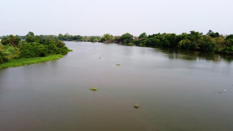 the flying environment plants the greenery forest and riverside