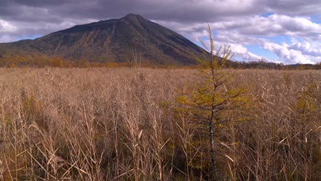 hermosa vista del monte