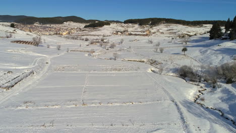 aerial: flying above arable land covered with snow, everything is white