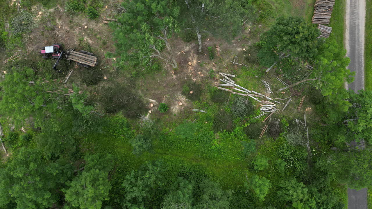 Aerial view of logging operations in a green forest with a tractor and cut timber