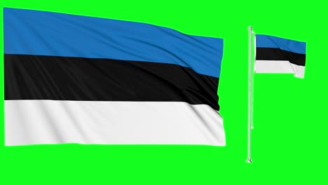 pantalla verde ondeando la bandera de estonia o el asta de la bandera