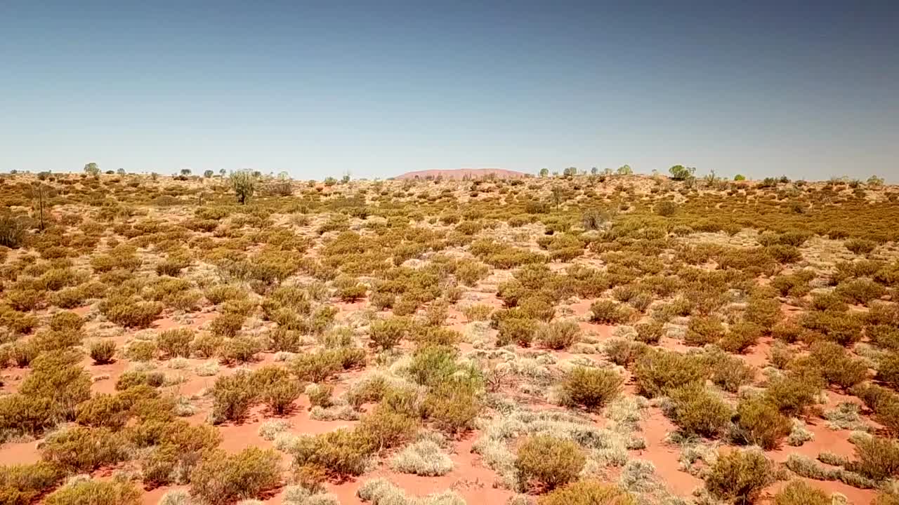 Australian Bush filmed with a Drone with Ayers rock in background