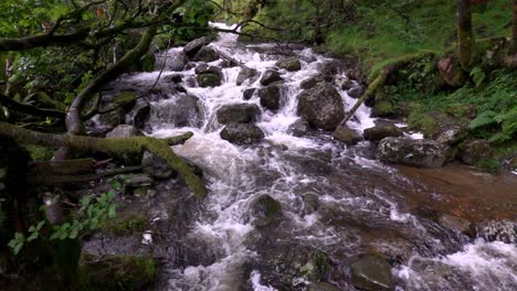 The-Poulanass-river-tumbles-over-boulders-at-the-top-of-the-water-falls-in-Wicklow-National-Park,-Ireland