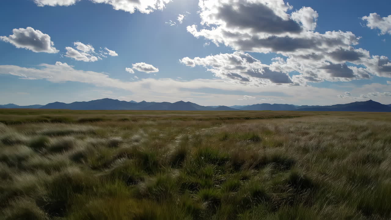Mountain Meadow River Landscape