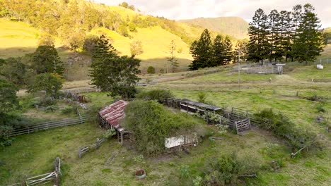an old, deserted farm house in australia with overgrown trees