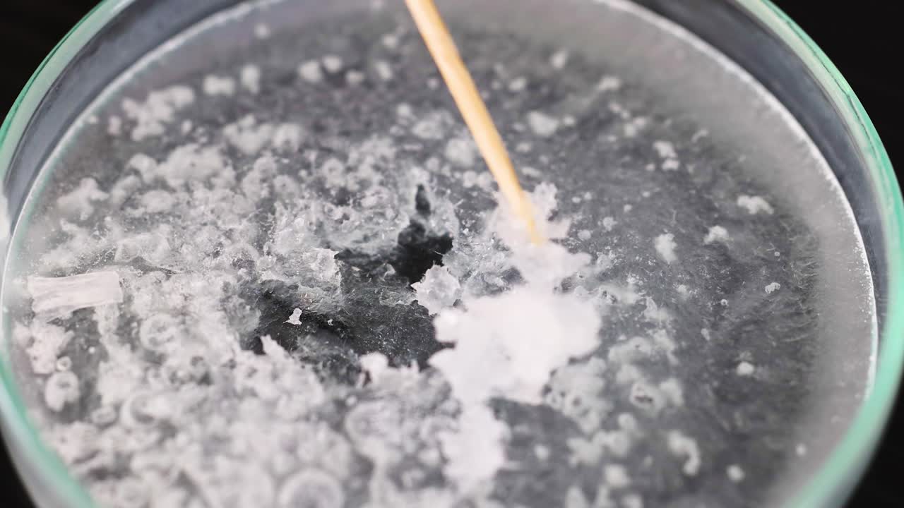 과학 실험에서 형성되는 결정