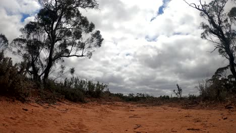 a download shot of an authentic australian swagman walking on a sandy desert outback track