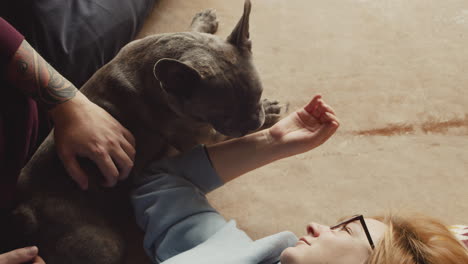 top view of a couple caressing her bulldog dog liying on the floor in living room 2