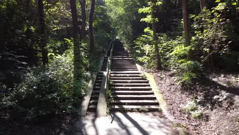 Salga-De-Interminables-Escaleras-De-Hormigón-En-El-Bosque-De-La-Ciudad-Y-Entre-En-Una-Pequeña-Carretera