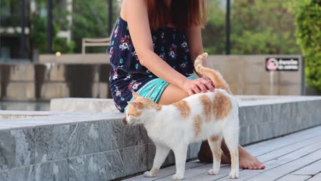 woman petting a stray cat on steps outdoors