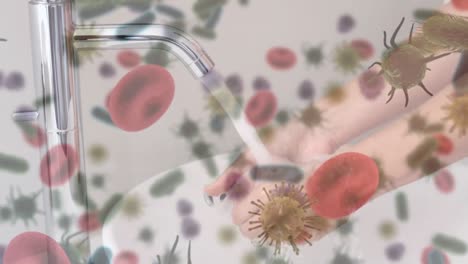 animation of macro virus and covid-19 cells spreading over caucasian woman washing her hands