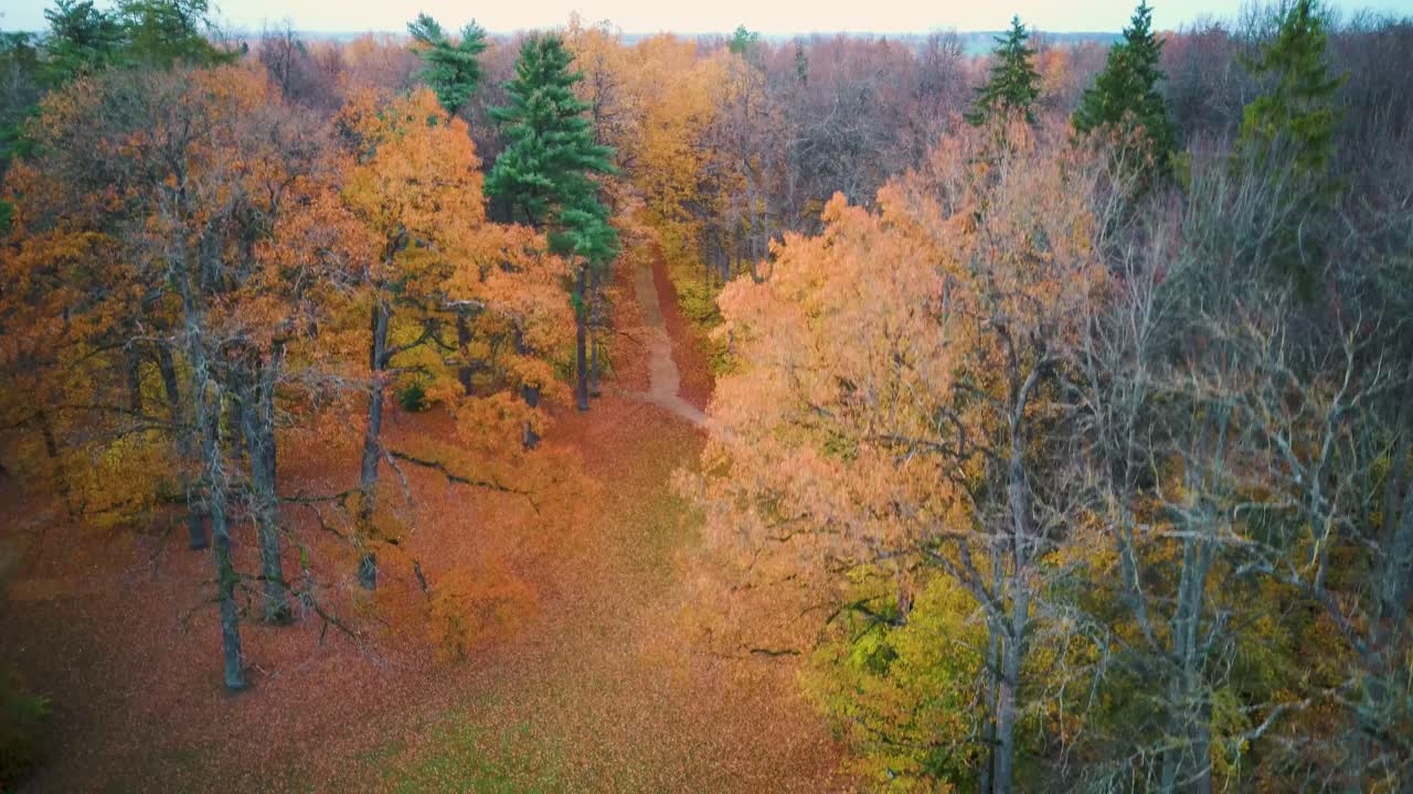 parque señorial eleja y casa de té en otoño