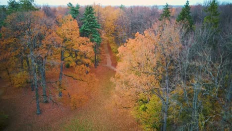 eleja manor park and tea house in autumn