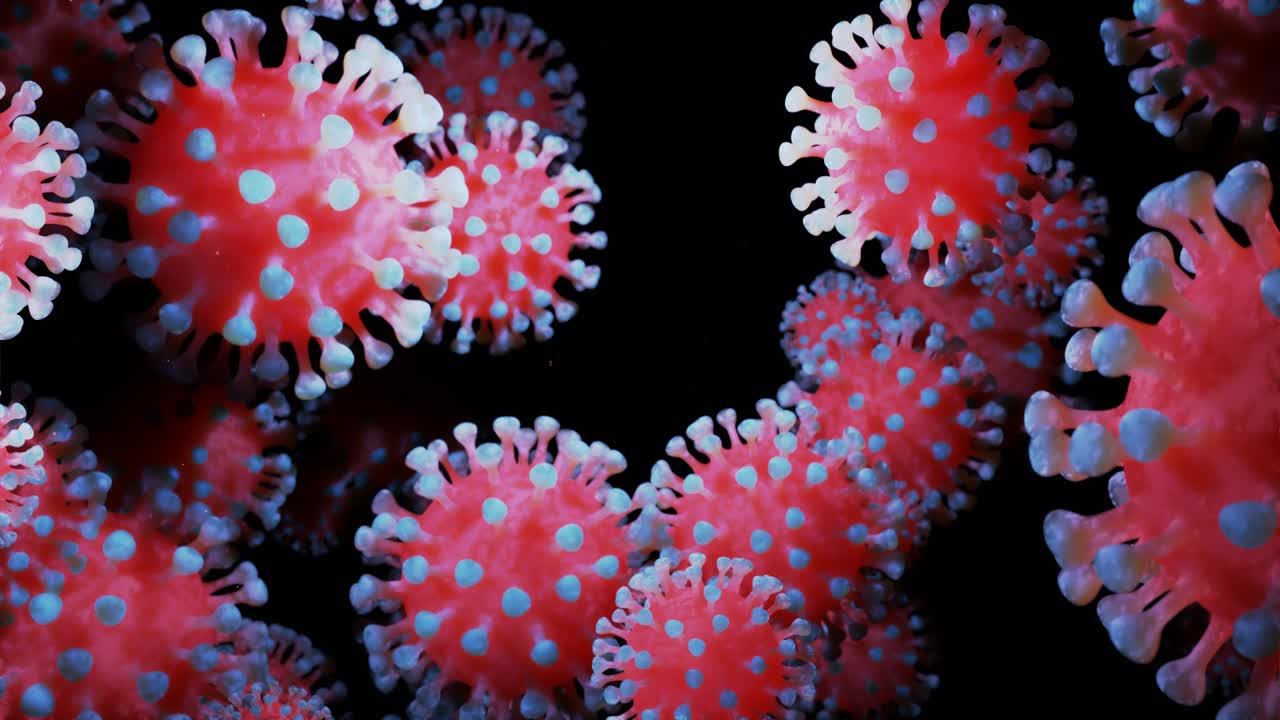 close-up coronavirus tipo covid-19, h1n1, gripe aviar o gripe porcina se mueven suavemente en fluido representación 3d del virus como fondo de bucle microscópico microbiológico. gradiente azul rojo 16