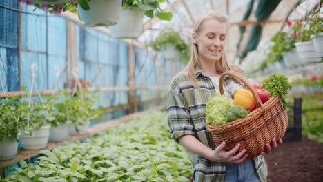 farmer with various harvested vegetables in greenhouse