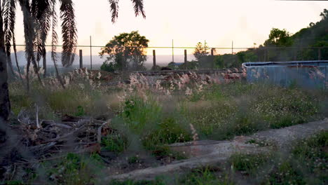 Footage-of-a-chainlink-mesh-fence-with-focus-pull-change-to-reveal-sunset-in-background-as-seen-through-fence-with-long-grass-and-trees-gently-blowing-in-the-wind