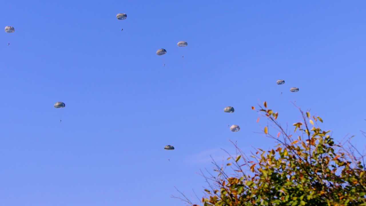 Military Paratroopers Skydiving