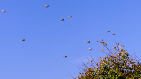 military paratroopers skydiving