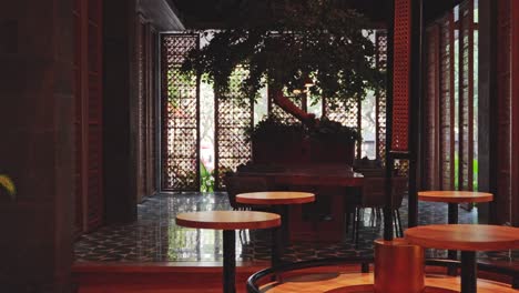 restaurant bar with light filtering through at sunset with huge bonsai tree in the table