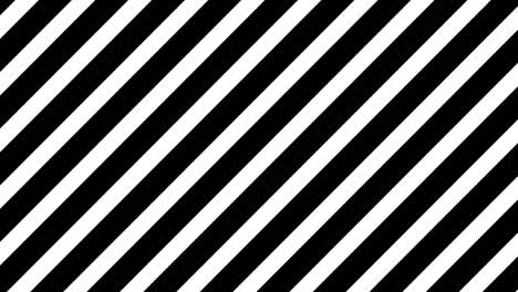 black and white zebra stripes moving in seamless loop. abstract background and wallpaper. 4k footage motion video