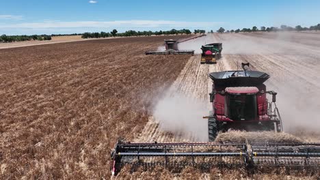 explore the cutting-edge machinery and precision in action during a large-scale lupin harvesting operation