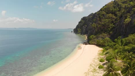 aerial drone shot over palm trees, revealing a beautiful beach heading towards limestone cliffs, at black island, in philippines, asia