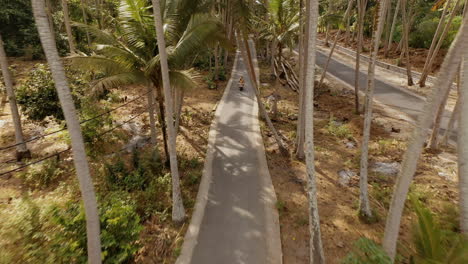 above view couple riding scooter on tropical island exploring palm tree forest on motorcycle tourists explore holiday destination with motorbike