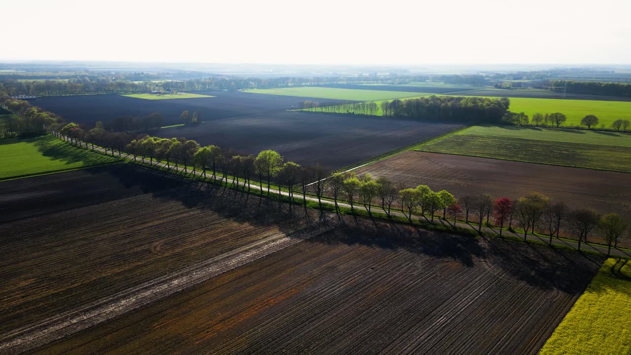 네덜란드 의 농경지 의 공중 사진