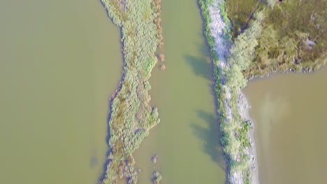 vuelo de drones sobre pantanos y campos inundados