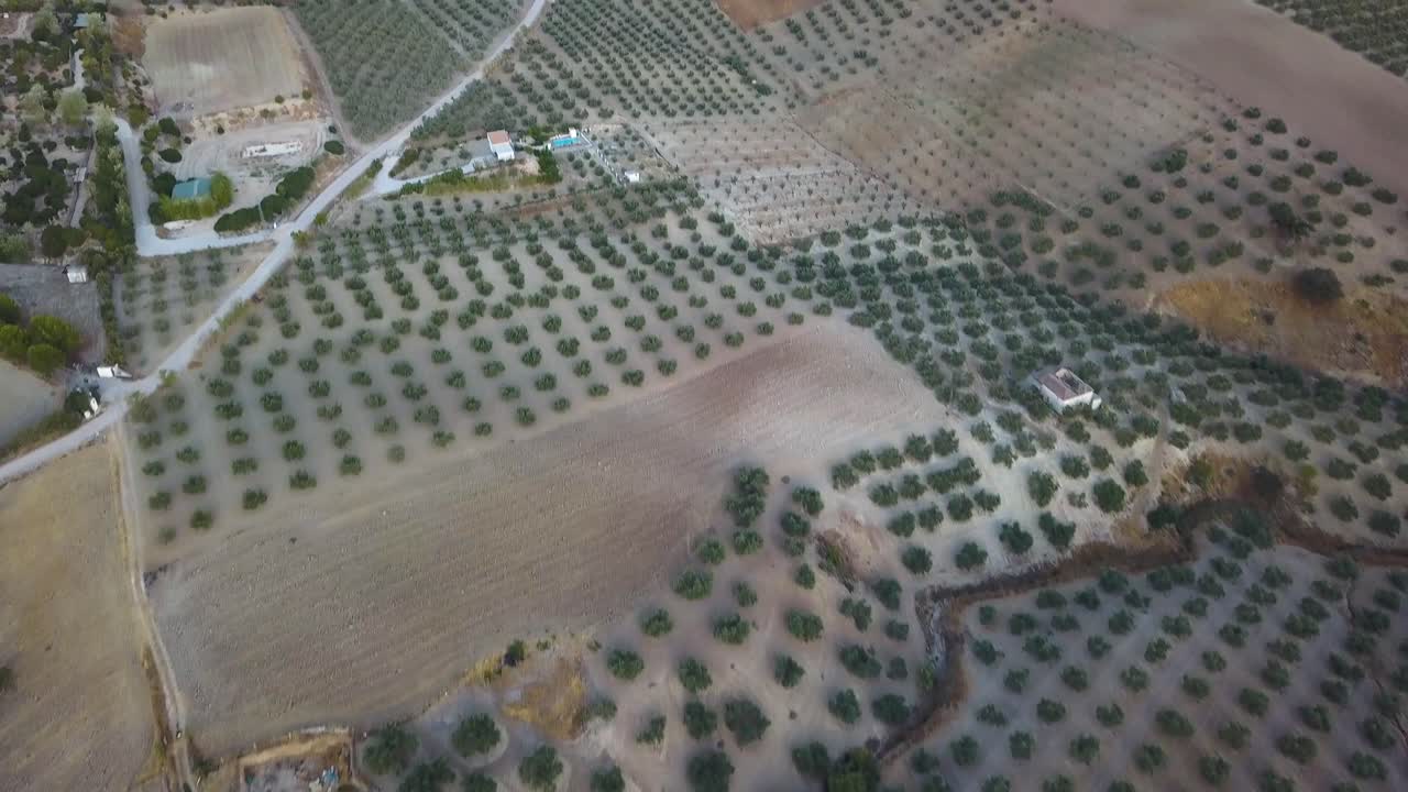 toma aérea inclinada hacia arriba del campo español con colinas, olivos y casas blancas