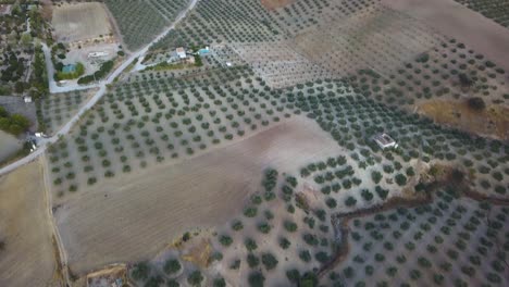 Toma-Aérea-Inclinada-Hacia-Arriba-Del-Campo-Español-Con-Colinas,-Olivos-Y-Casas-Blancas