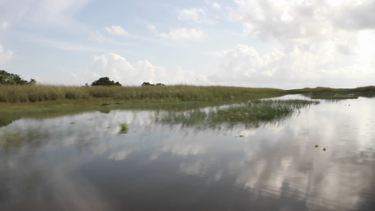 POV from an airboa driving through the Florida Everglades 