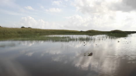 Pov-Von-Einer-Airboa,-Die-Durch-Die-Everglades-Von-Florida-Fährt