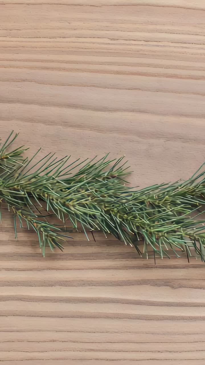 Vertical video: Shifting camera nudging evergreen branch sliding along light wood table, centering