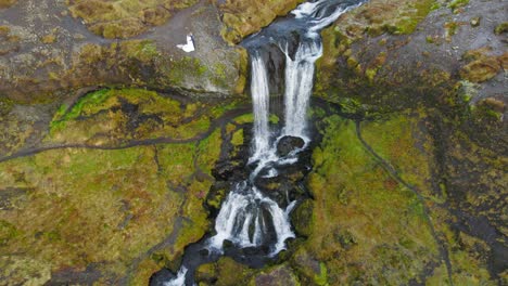 Puente-Caucásico-De-Recién-Casados-Y-Novio-De-Pie-En-Un-Acantilado-Junto-Al-Impresionante-Paisaje-De-Cascada-En-Islandia