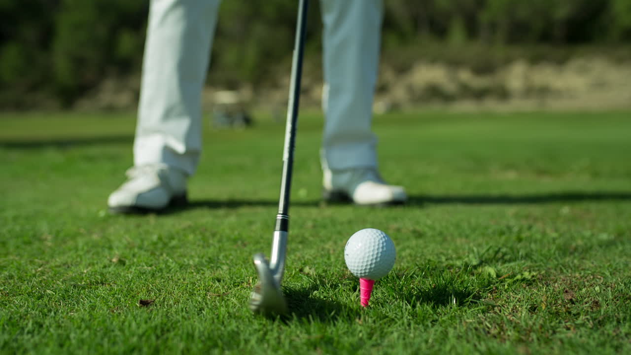 노인 여성 골프 25