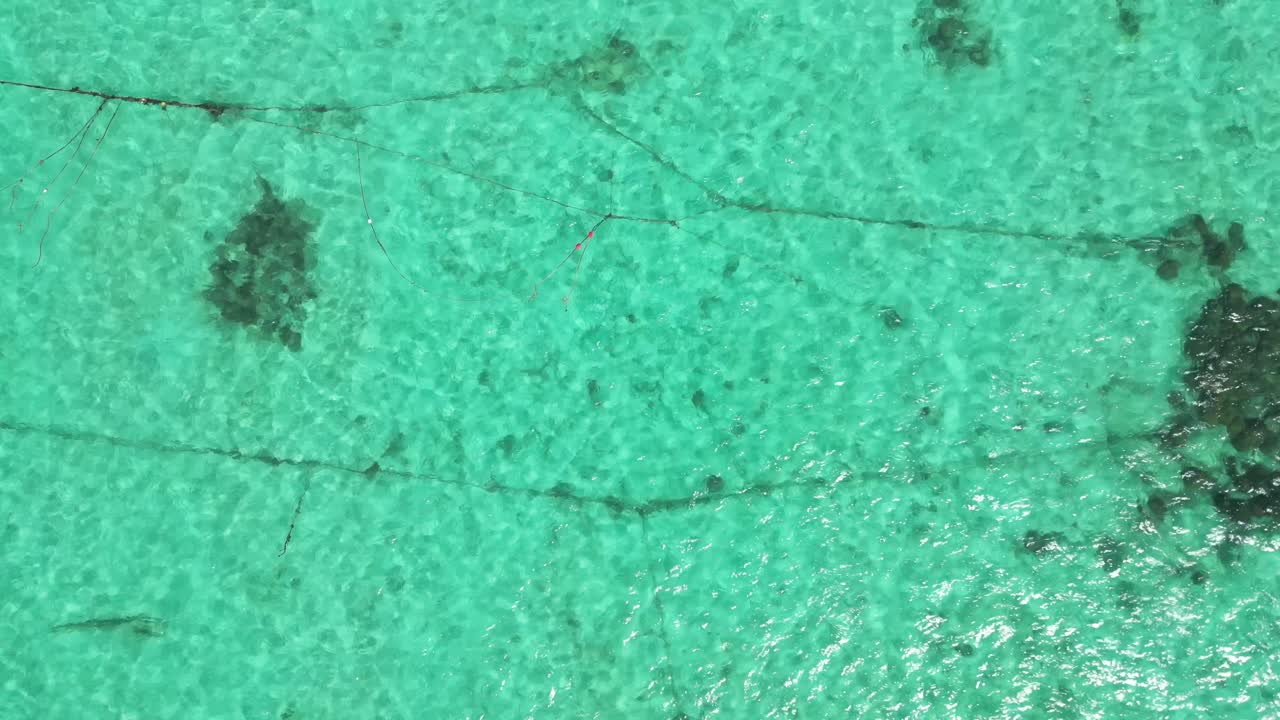 los barcos de cola larga de la playa en el agua turquesa