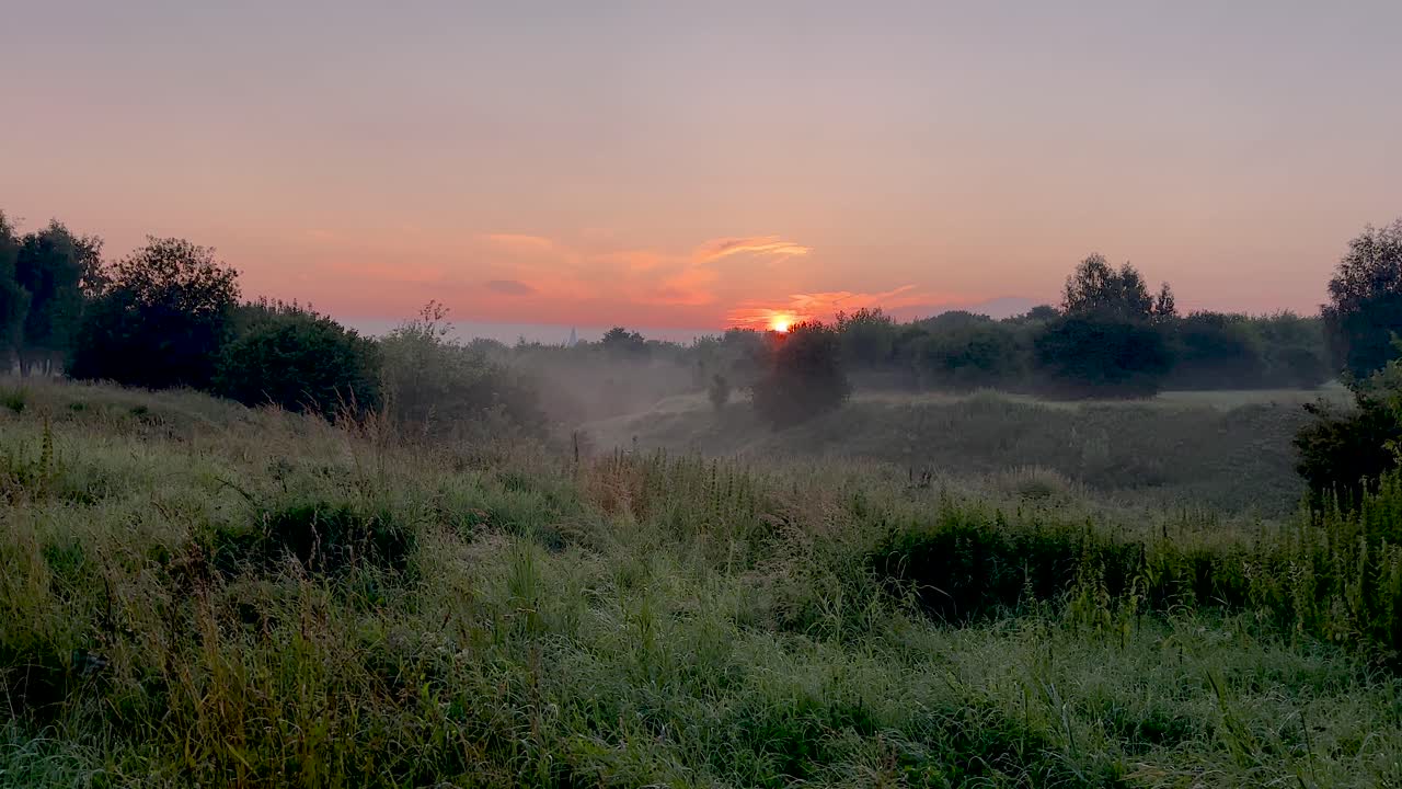 Red dawn with fog over ravine and trees (4K60)