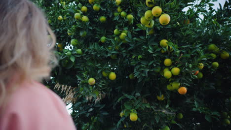 blonde woman admiring oranges growing on orange tree in backyard